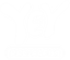YEY